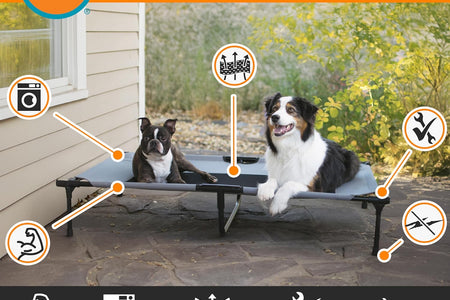 Original Pet Cot, Elevated Dog Bed Cot with Mesh Center, Multiple Sizes