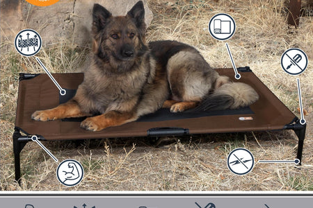 Original Pet Cot, Elevated Dog Bed Cot with Mesh Center, Multiple Sizes