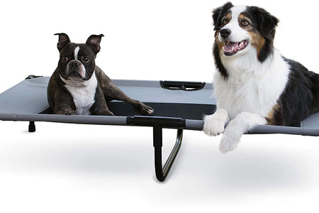 Original Pet Cot, Elevated Dog Bed Cot with Mesh Center, Multiple Sizes