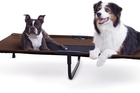 Original Pet Cot, Elevated Dog Bed Cot with Mesh Center, Multiple Sizes